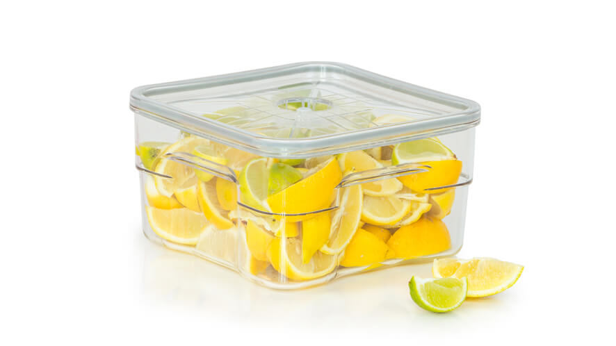 4l gastro posoda_limone gastro vakuumska posoda za profesionalno uporabo