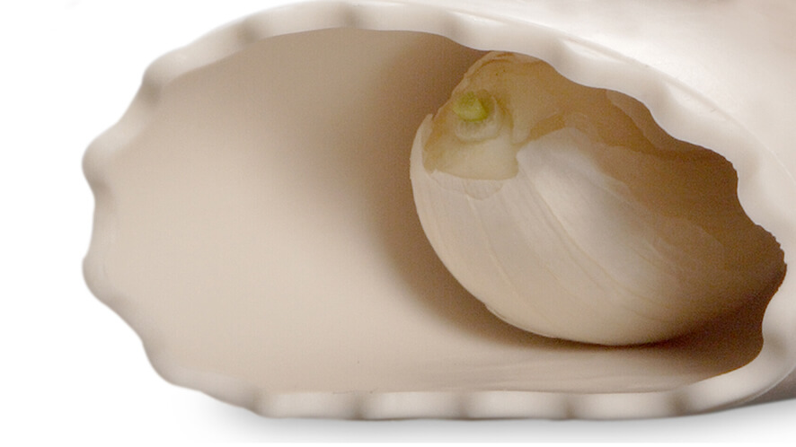 Luščilec_od blizu Česen v luščilcu česna.