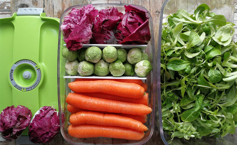 zelenjava v vakuumski posodi