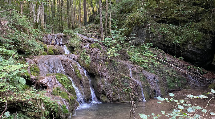 divji potok učna pot