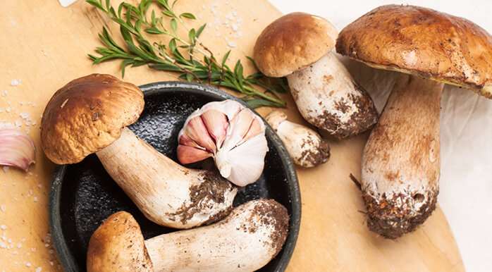 Sušenje gob je v sušilniku najbolj optimalno.